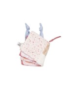 Spielbuch Hase Hanni