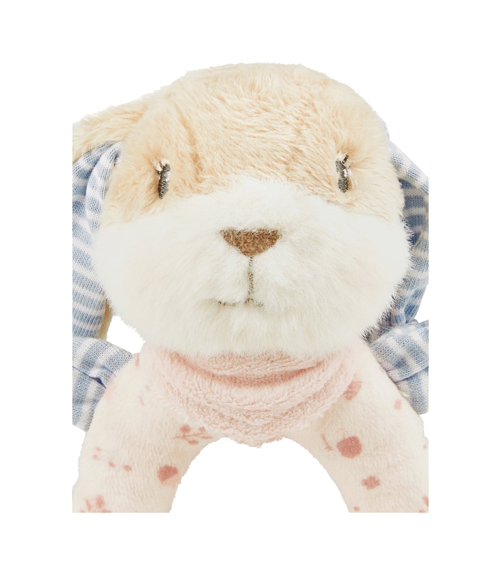 Greifling Hase Hanni