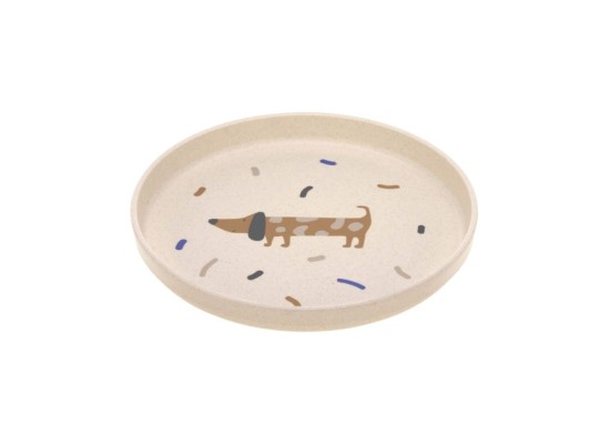 Teller mit Zellulose