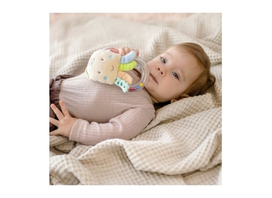 Rasselring Oktopus Meereskinder