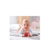 Greifling und Zahnungshilfe Stern