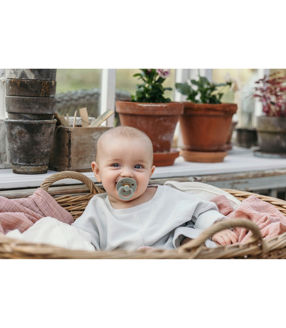 2er-Pack Colour Schnuller Latex, anatomisch, 0-6M