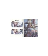 Pappbilderbuch Die kleine Zahnfee