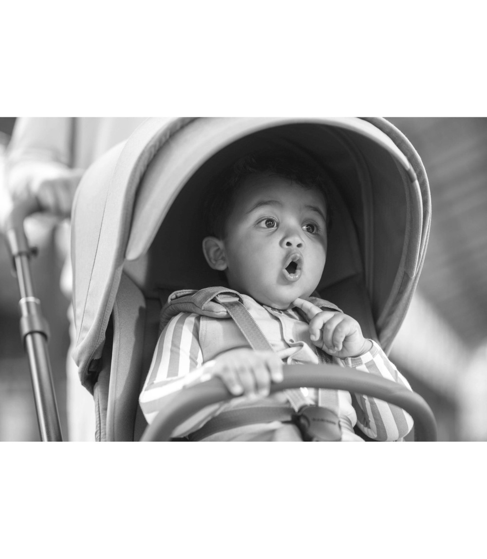 Kombikinderwagen Oxford Plus