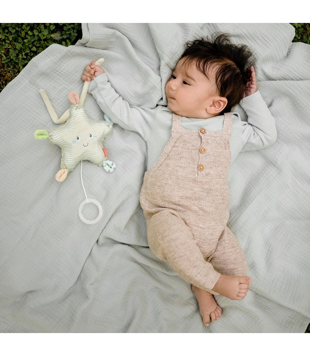 Mini-Spieluhr Seestern Meereskinder 18cm