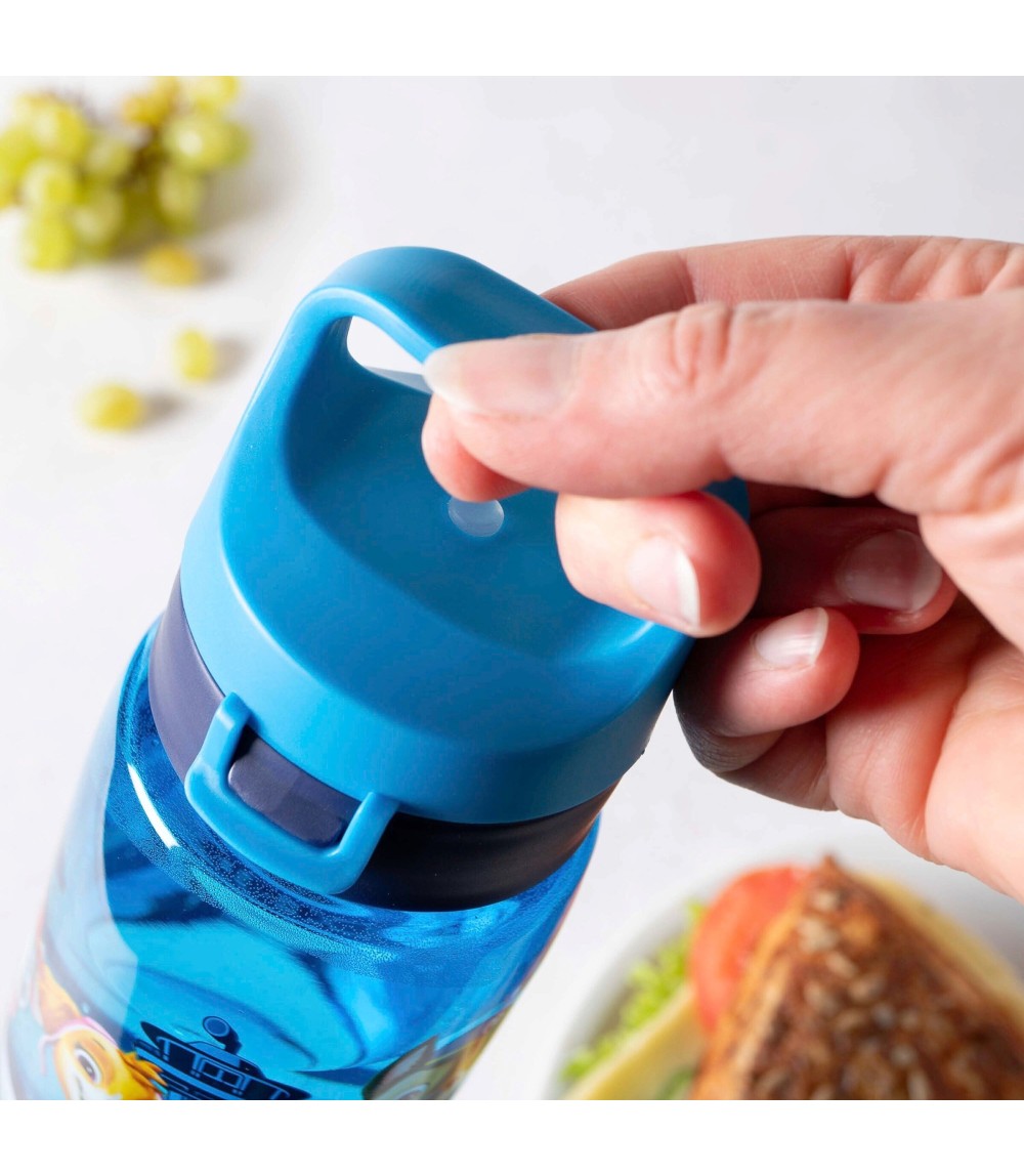 Trinkflasche, 500 ml