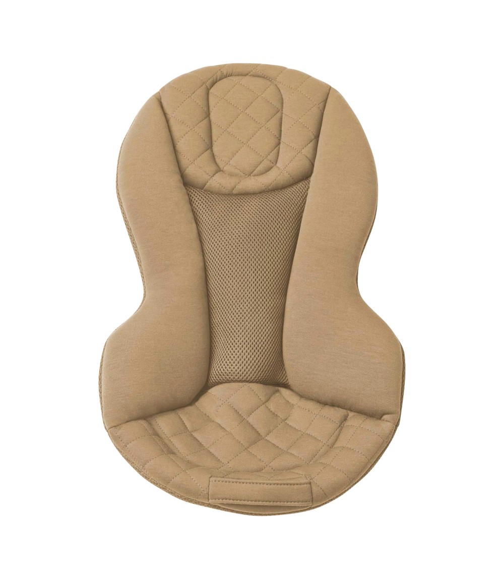 Babywippe Bouncer Evolve 3-in1