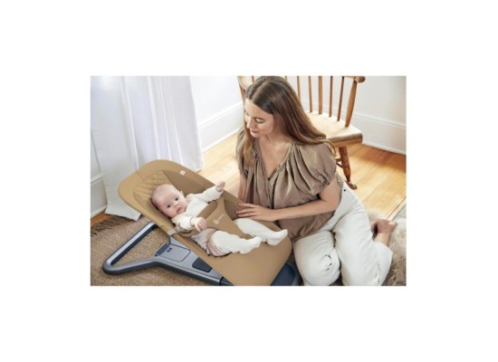 Babywippe Bouncer Evolve 3-in1