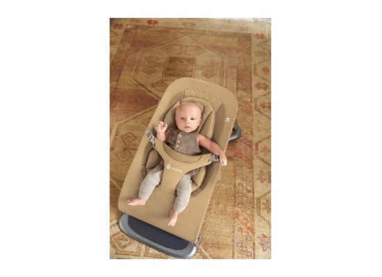 Babywippe Bouncer Evolve 3-in1
