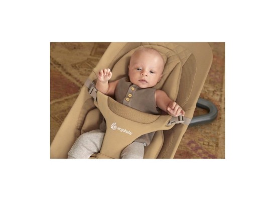 Babywippe Bouncer Evolve 3-in1