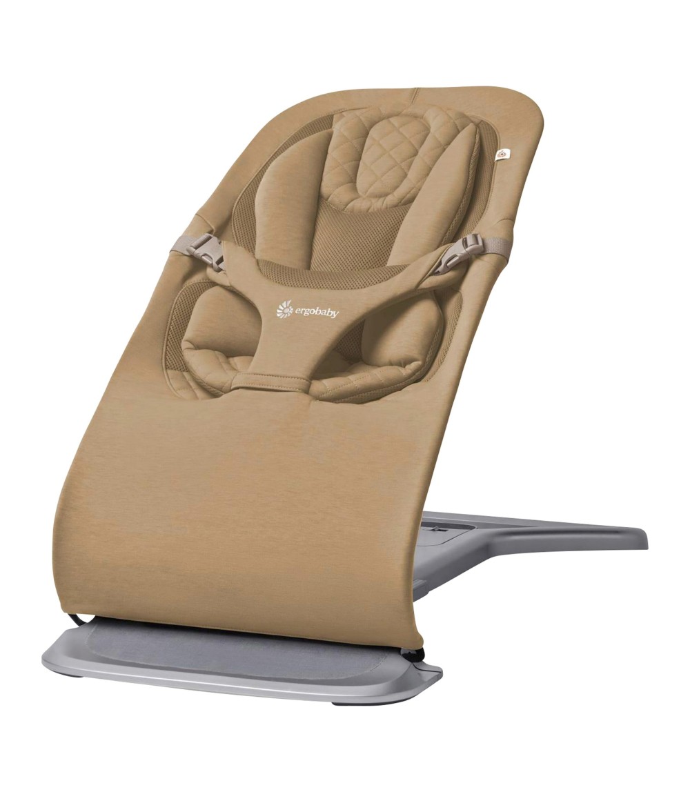 Babywippe Bouncer Evolve 3-in1