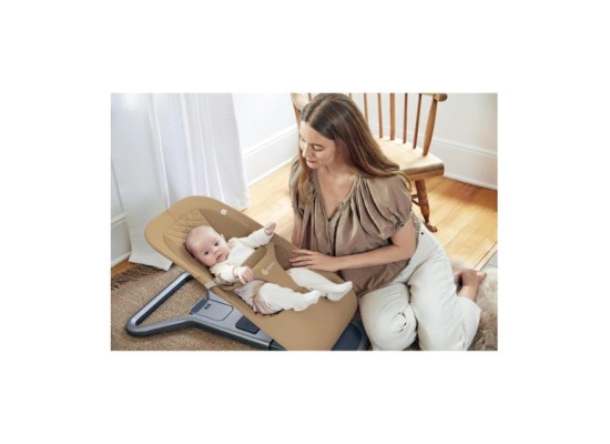 Babywippe Bouncer Evolve 3-in1