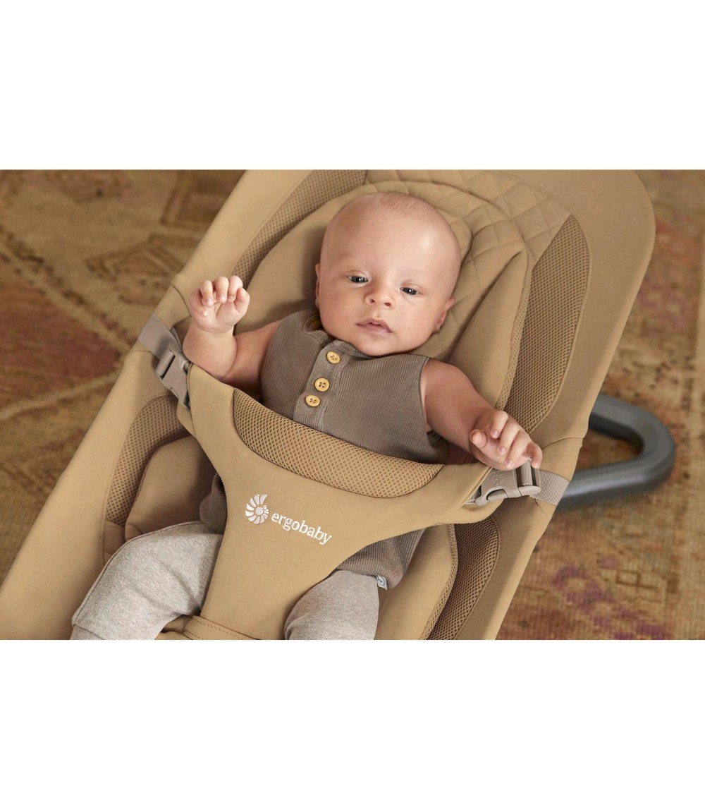 Babywippe Bouncer Evolve 3-in1
