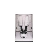 Zwillingswagen Duette