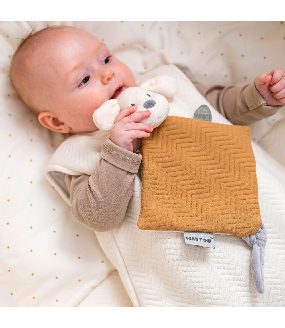 Schmusetuch Hund Charlie