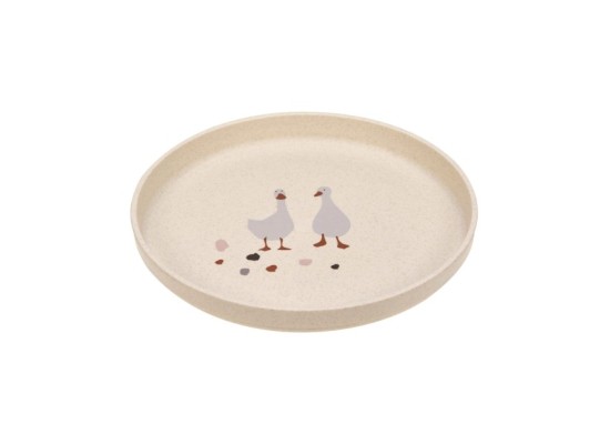 Teller mit Zellulose