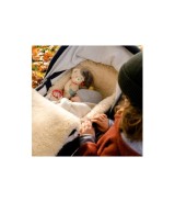 Spieluhr Bär Bruno 20cm