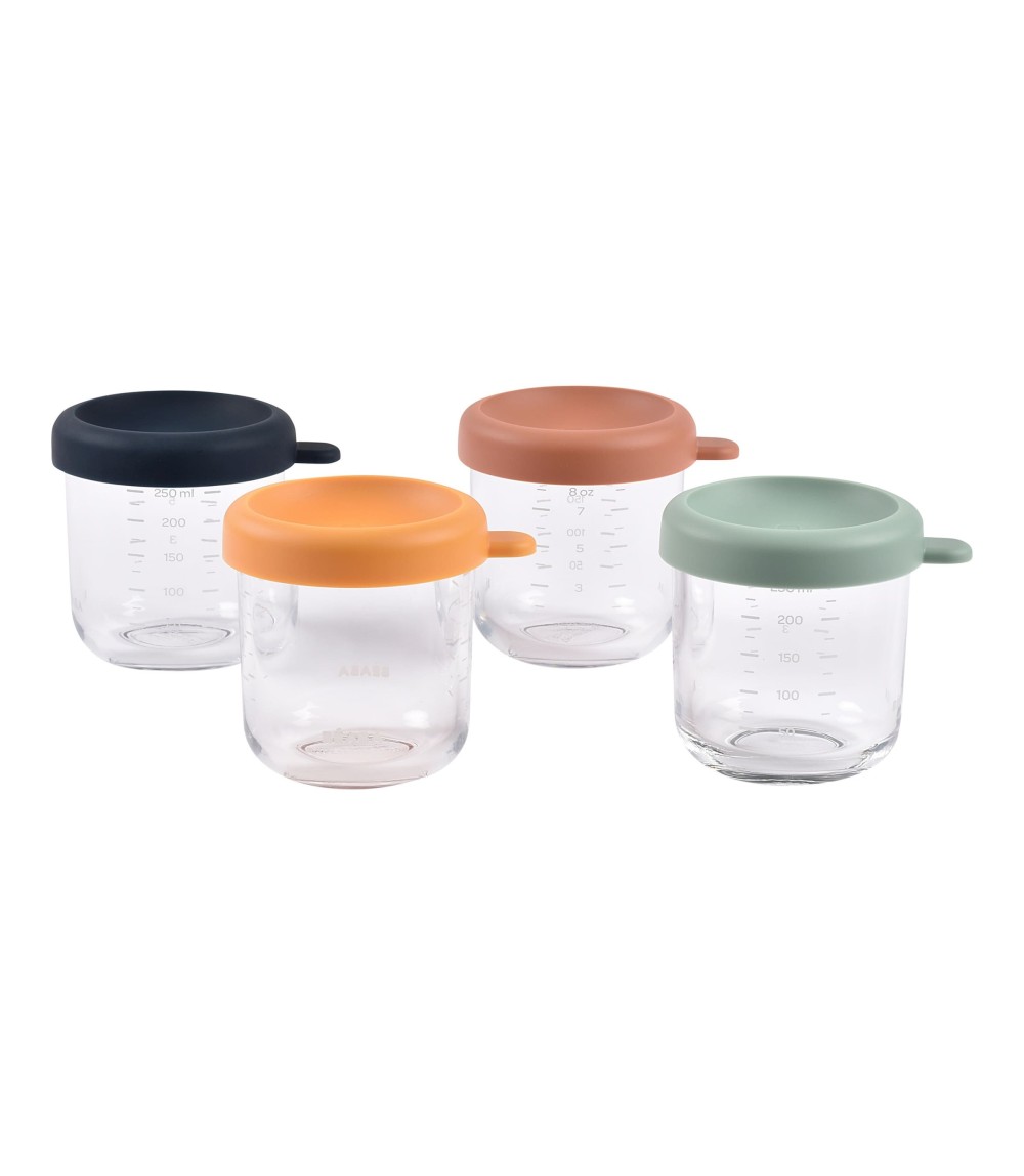 4er-Pack Portionsbehälter aus Glas