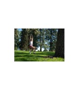 Seilrutsche 11 Meter