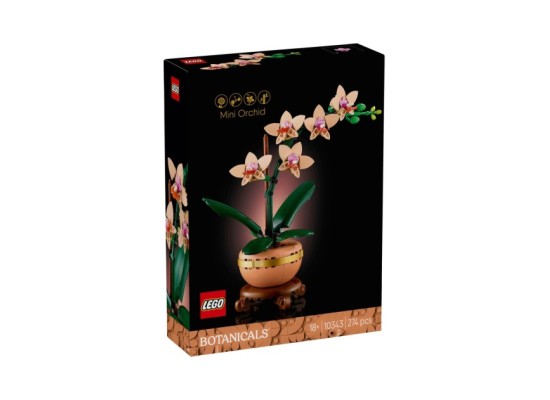 10343 Mini-Orchidee