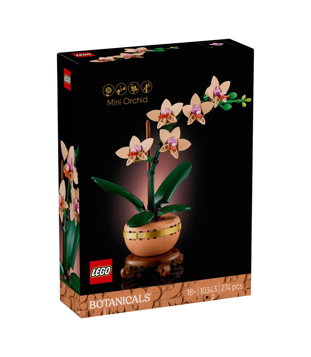 10343 Mini-Orchidee