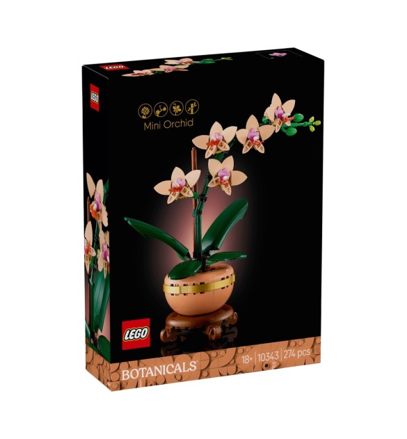 10343 Mini-Orchidee