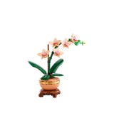 10343 Mini-Orchidee