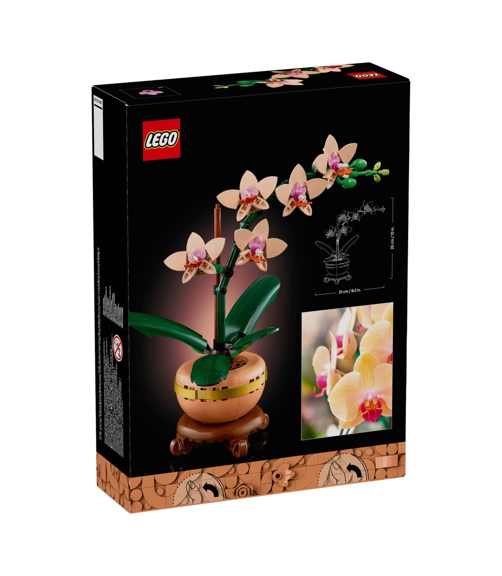 10343 Mini-Orchidee