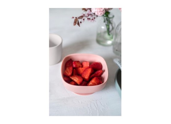 Silikonschüssel mit Saugnapf