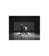 Kombikinderwagen Fame inkl. Babyschale Pebble 360 Pro 2