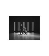 Kombikinderwagen Fame inkl. Babyschale Pebble 360 Pro 2