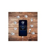 Iconics: Buckingham Palace - mit Licht