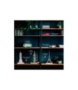 Iconics: Buckingham Palace - mit Licht