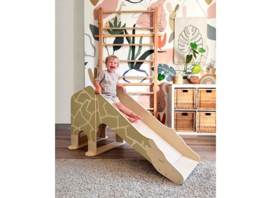 Indoor Rutsche Giraffe Wildlife