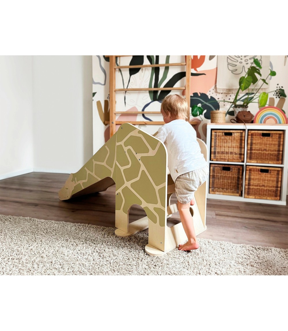 Indoor Rutsche Giraffe Wildlife