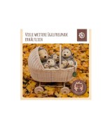 Plüsch Igel Spieltier mit Rassel - ab Geburt