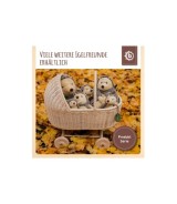 Plüsch Igel Spieltier mit Rassel - ab Geburt