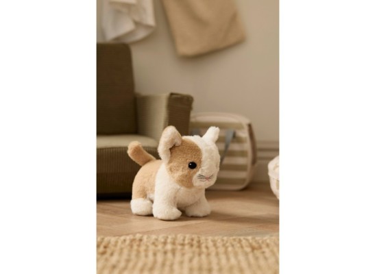 Kids Concept Haustier-Tragetasche