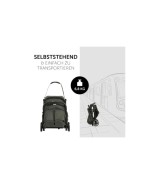 Buggy TravelNCare