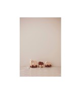 Nachziehtier Mammutfamilie