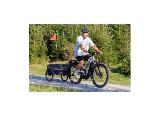 Fahrradanhänger Qubee Grey