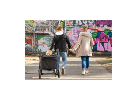 Klappbollerwagen Cruiser