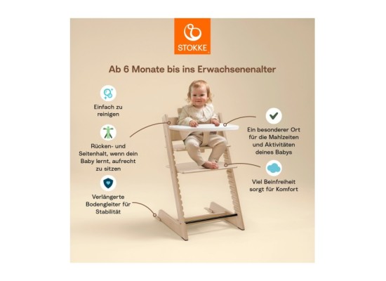 Bundle Treppenhochstuhl inkl. Babyset und Tray