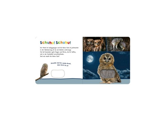  wer kann das sein? - Tiere in der Nacht