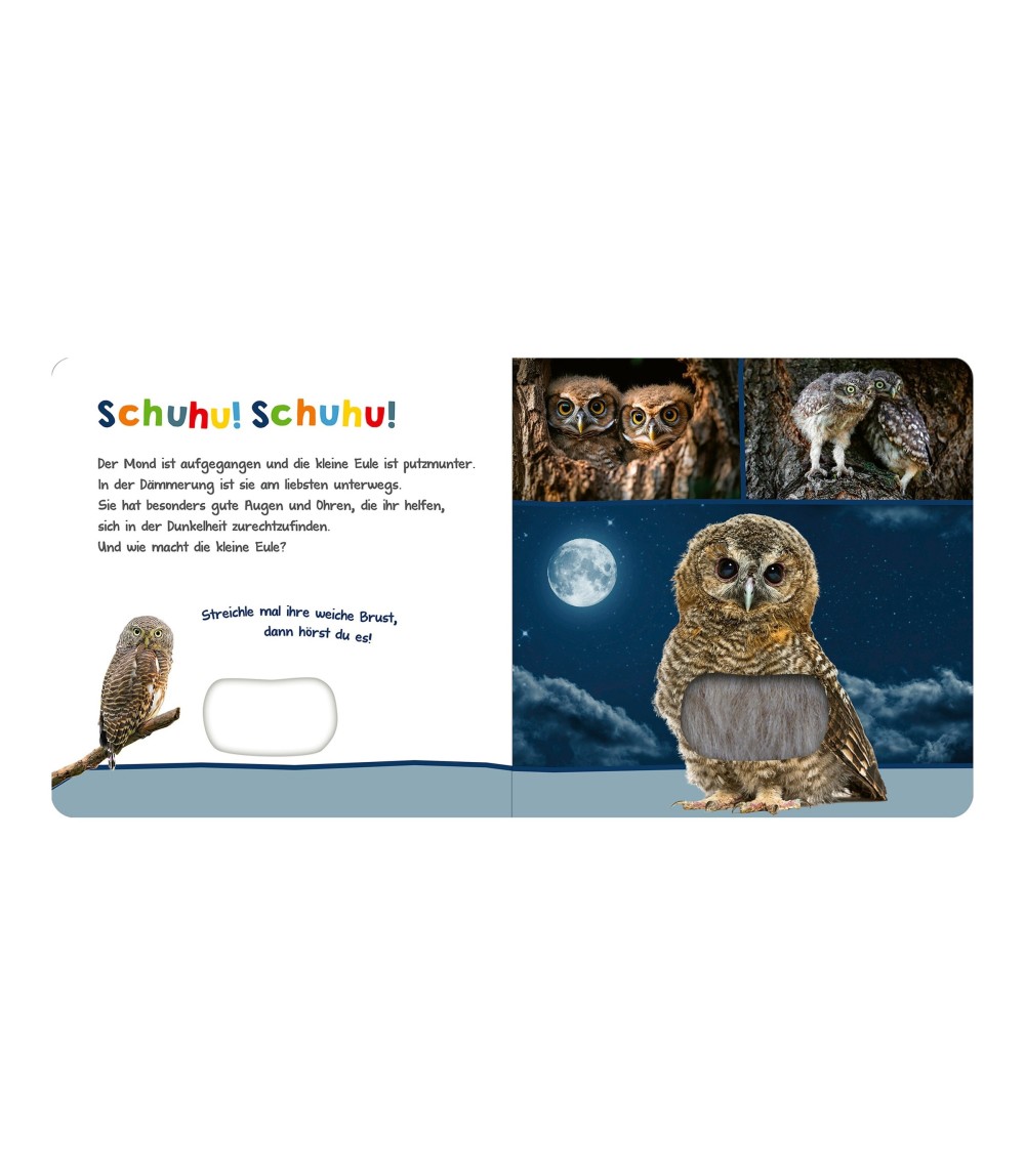  wer kann das sein? - Tiere in der Nacht