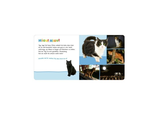 Soundbilderbuch Hör mal rein, wer kann das sein? - Tiere in der Nacht