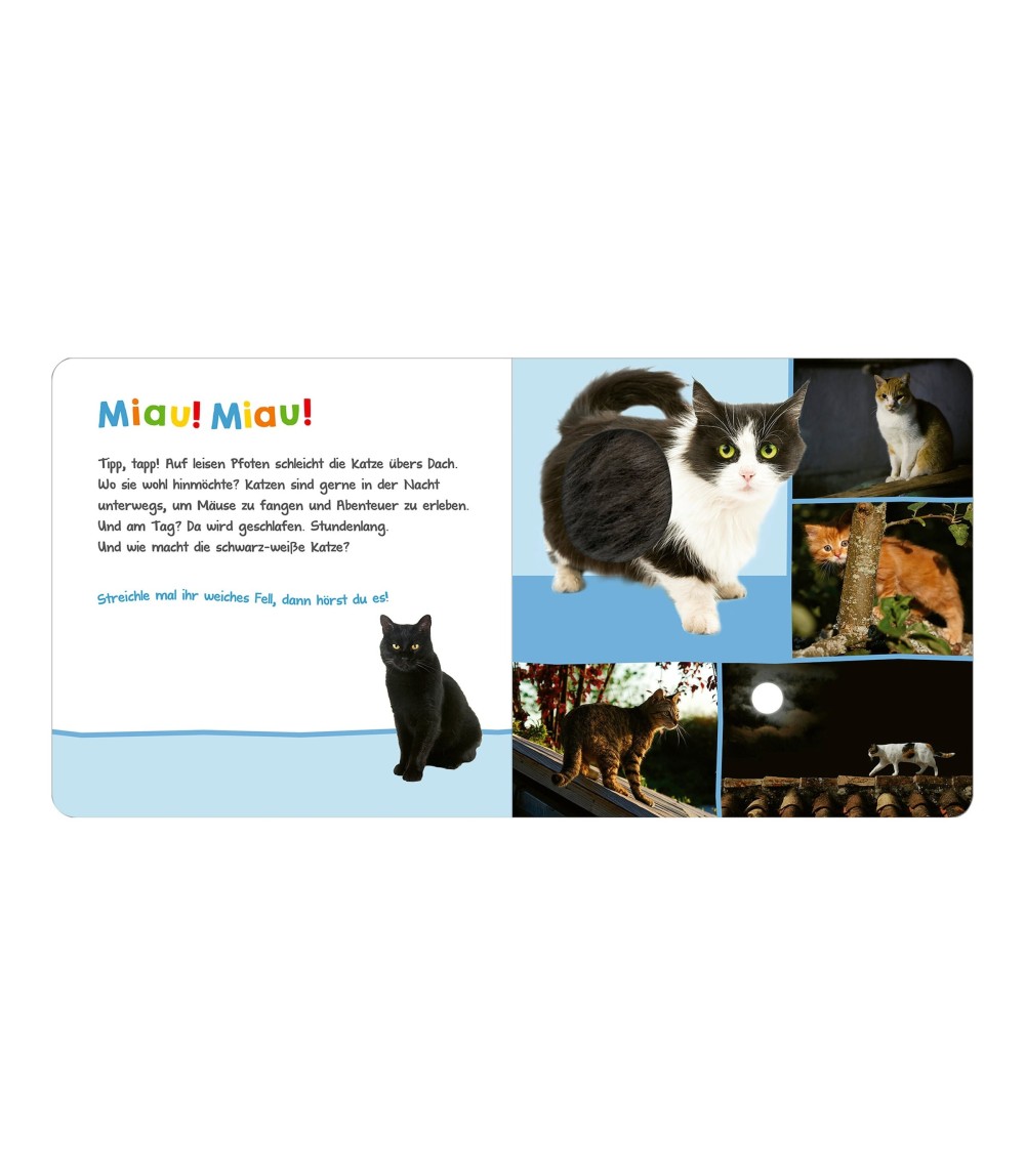 Soundbilderbuch Hör mal rein, wer kann das sein? - Tiere in der Nacht