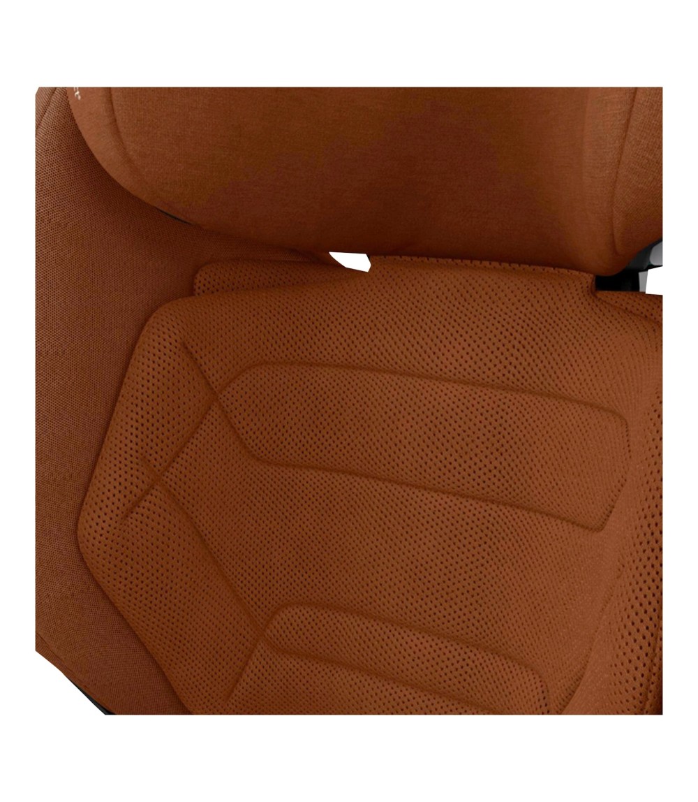 Kindersitz Rodifix Pro 2