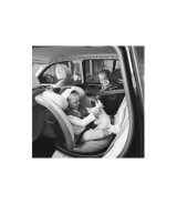 Kindersitz I-GROW