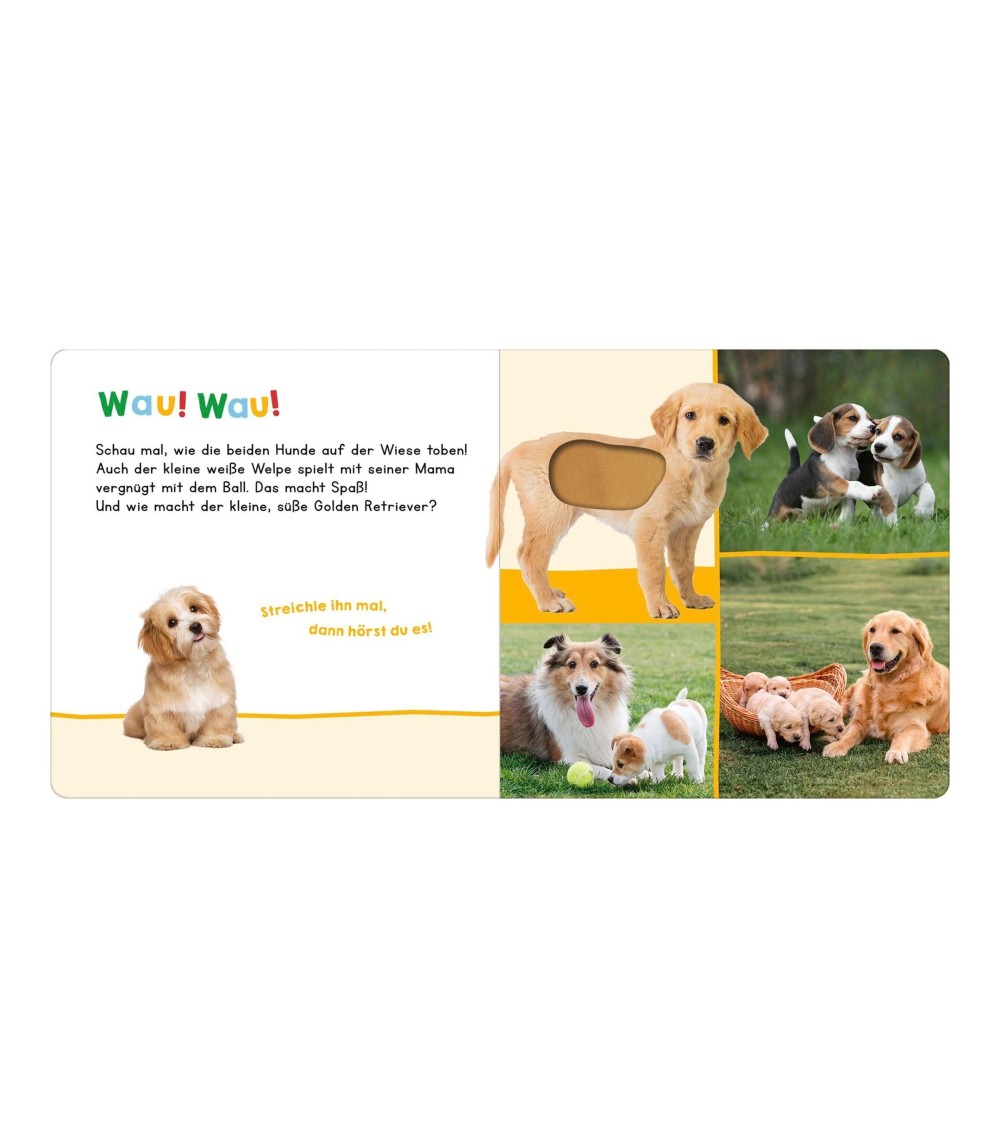  wer kann das sein? - Meine ersten Tiere